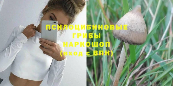 jwh Абаза