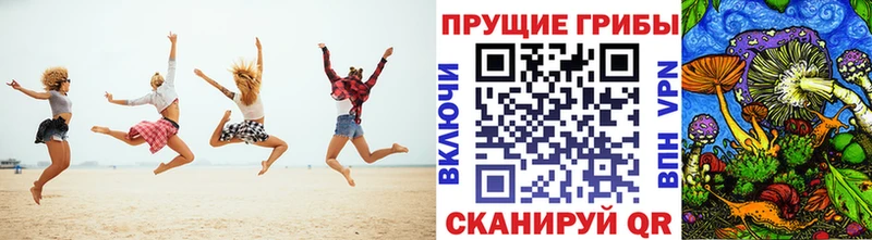 продажа наркотиков  Североморск  Псилоцибиновые грибы Magic Shrooms 